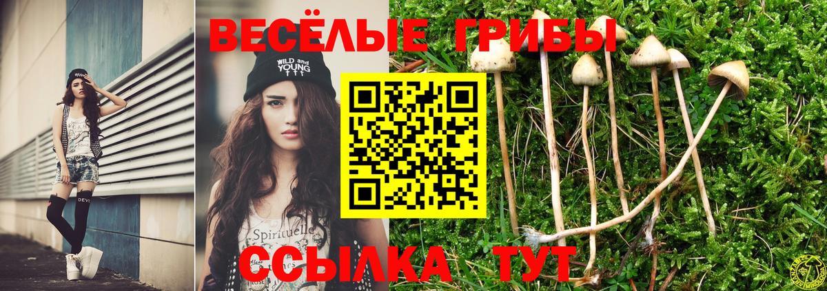 Галлюциногенные грибы MAGIC MUSHROOMS  Вход с VPN  Сергиев Посад 